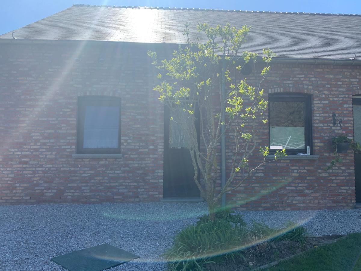 L'evasion Du Berger Australien Appartement Couvin